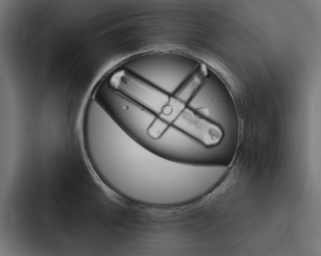 X0000088221046200705151025