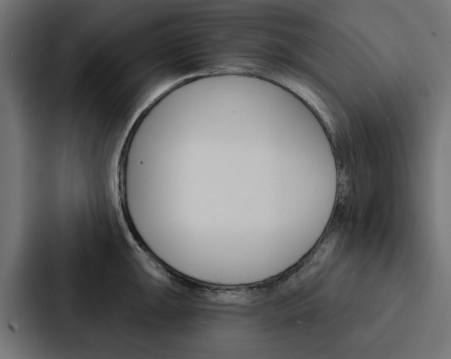 X0000088221047200705151025