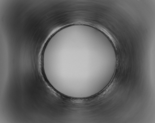 X0000088221048200705151025
