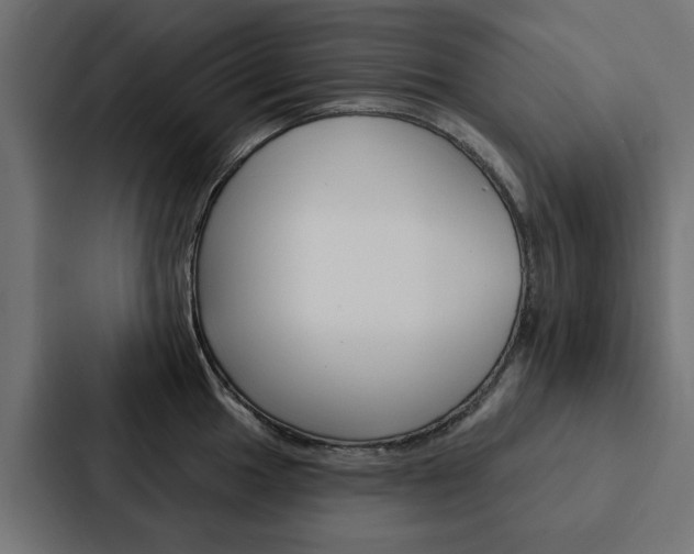 X0000088221049200705151025