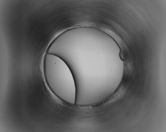 X0000088221055200705151025