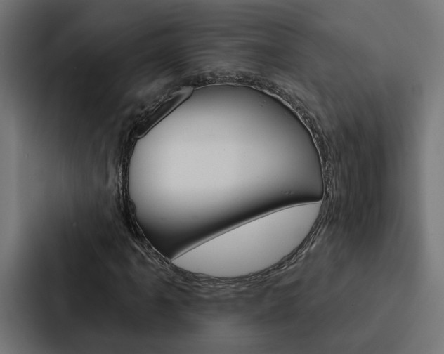 X0000088221061200705151024