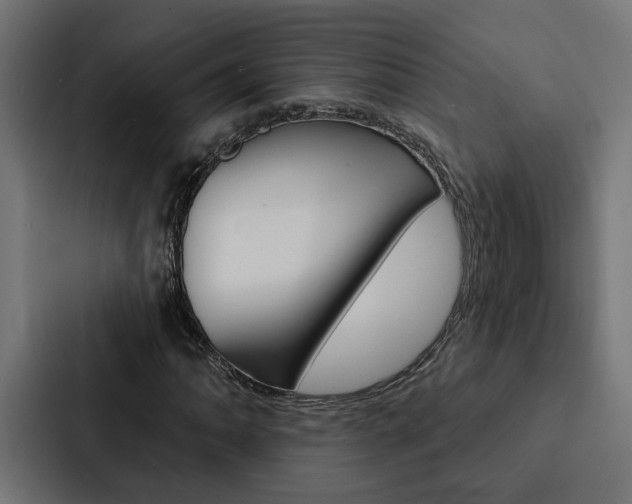 X0000088221062200705151024