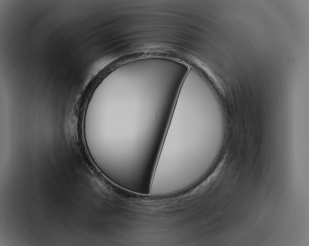 X0000088221066200705151024