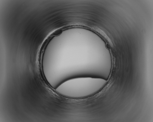 X0000088221068200705151024
