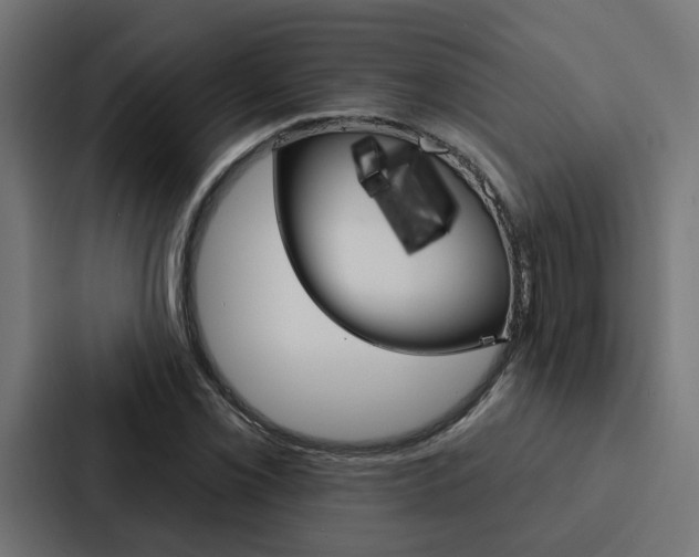 X0000088221069200705151024