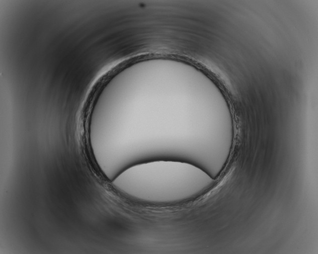 X0000088221070200705151024