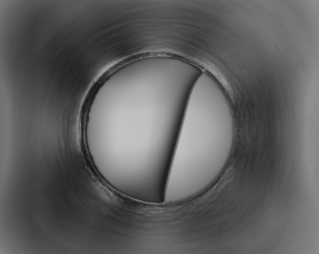 X0000088221076200705151024
