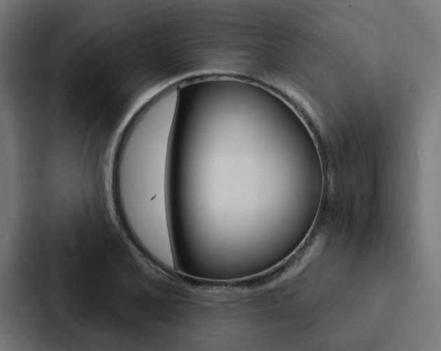 X0000088221077200705151024