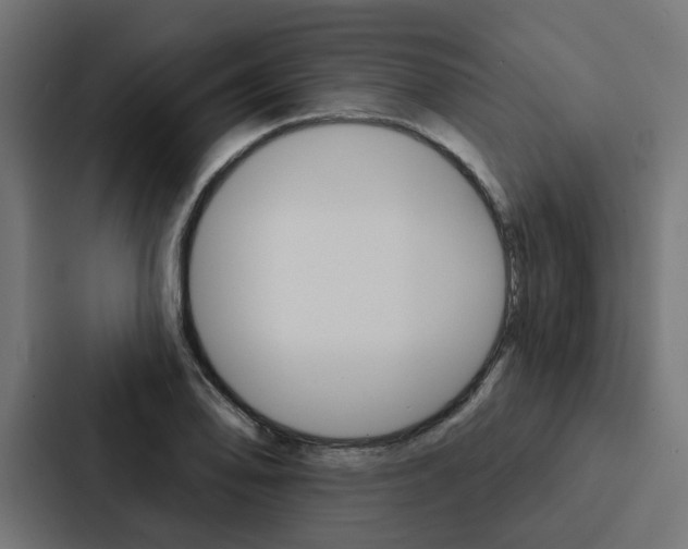 X0000088221078200705151024