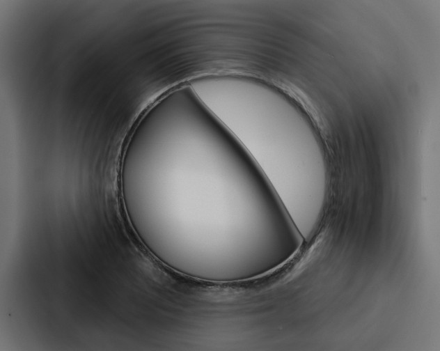 X0000088221081200705151024