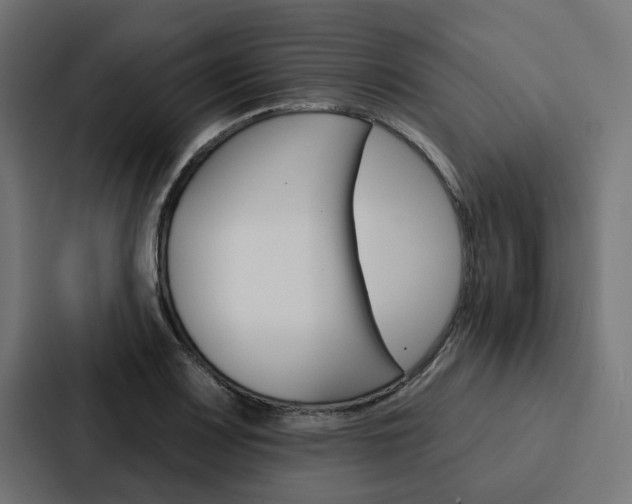 X0000088221083200705151024