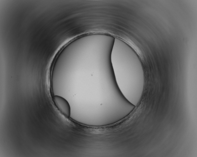 X0000088221084200705151024