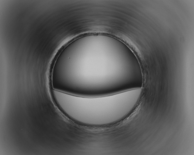 X0000088221085200705151024