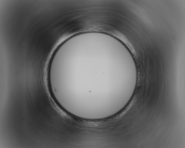X0000088221086200705151024