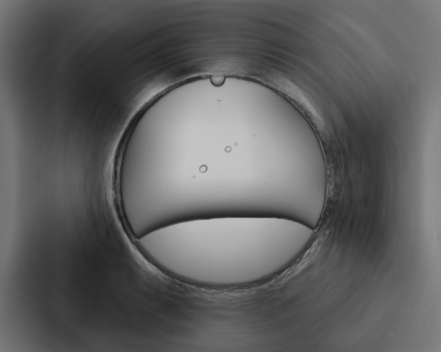 X0000088221087200705151024
