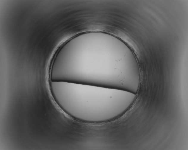 X0000088221088200705151024