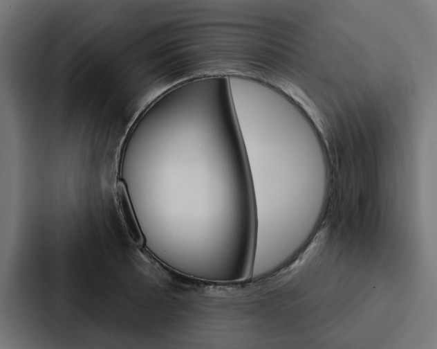 X0000088221089200705151024