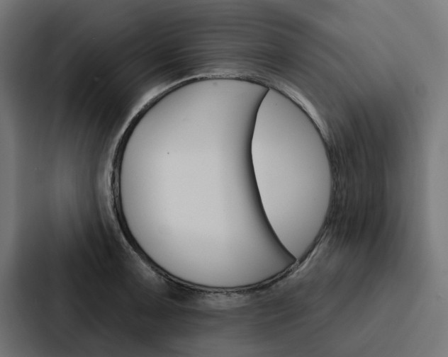 X0000088221091200705151024