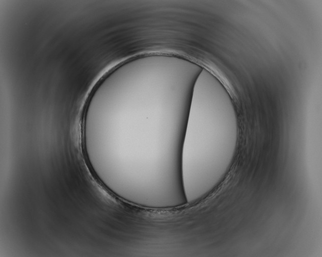 X0000088221092200705151024