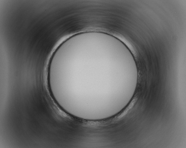 X0000088221094200705151024