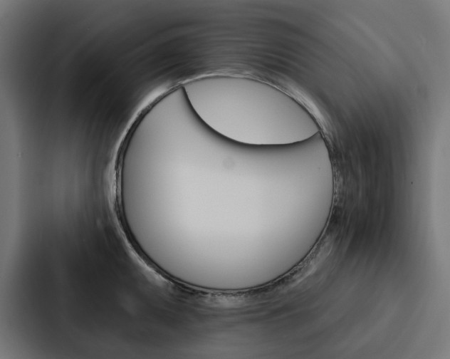 X0000088221095200705151024
