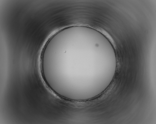 X0000088221096200705151024