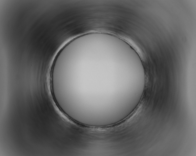 X0000088221100200705151024