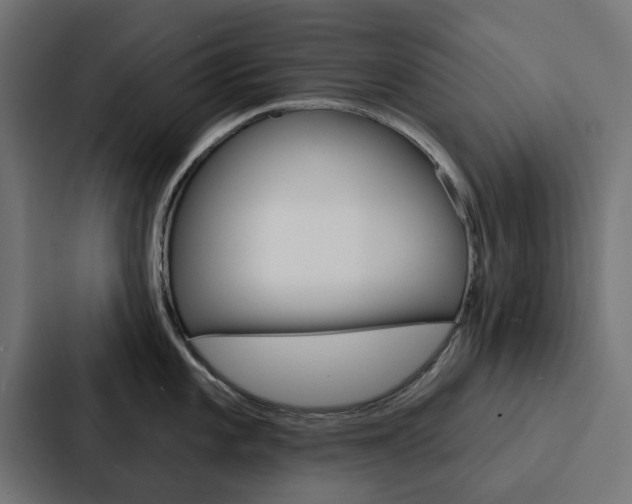 X0000088221101200705151024