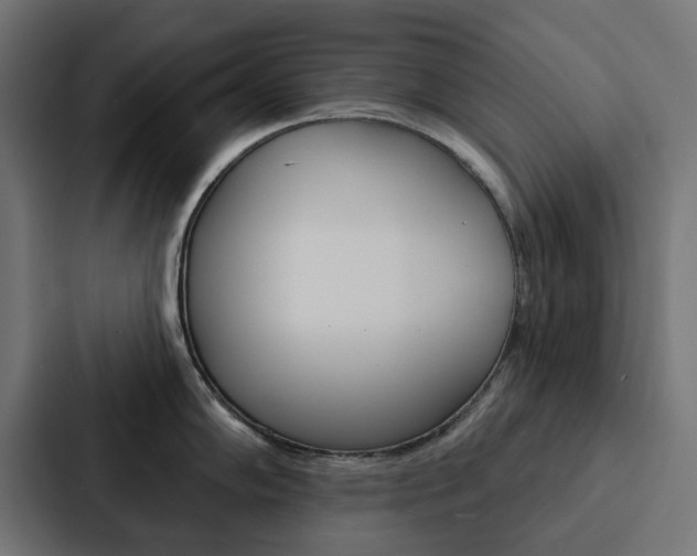 X0000088221102200705151024