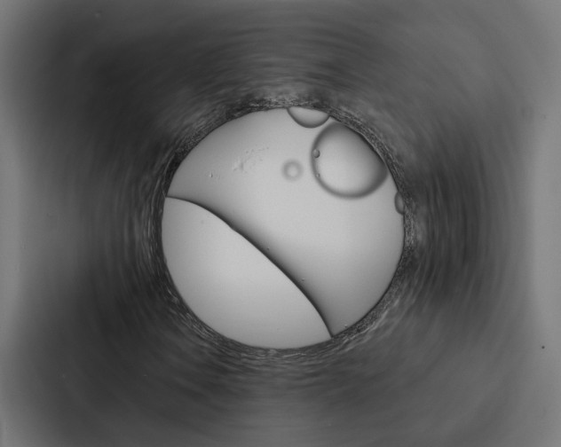 X0000088221106200705151023