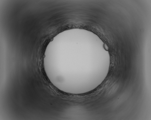 X0000088221109200705151023