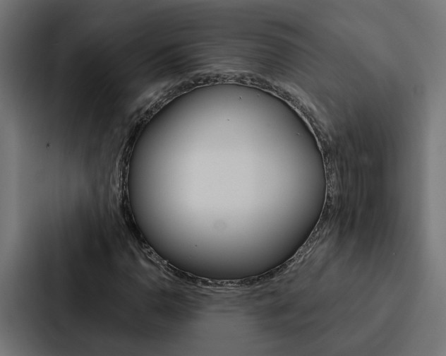 X0000088221110200705151023