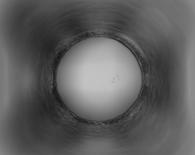 X0000088221111200705151023