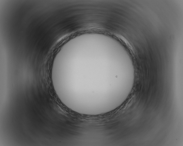 X0000088221112200705151023