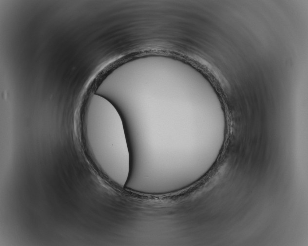 X0000088221117200705151023