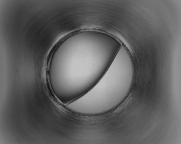 X0000088221124200705151023