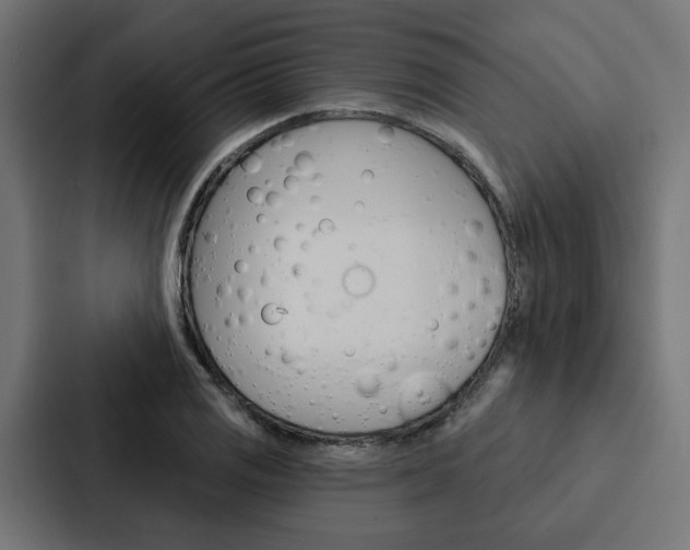 X0000088221125200705151023