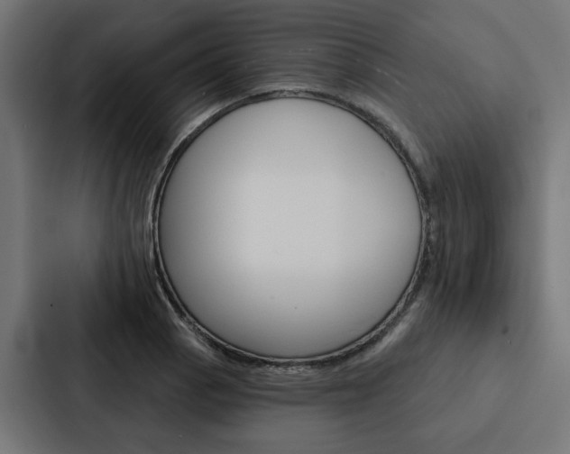 X0000088221129200705151024
