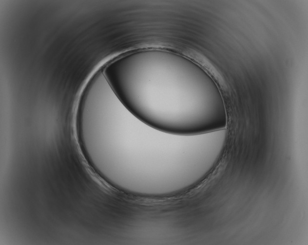 X0000088221132200705151024