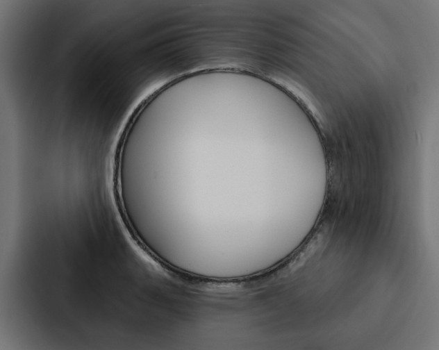 X0000088221135200705151024