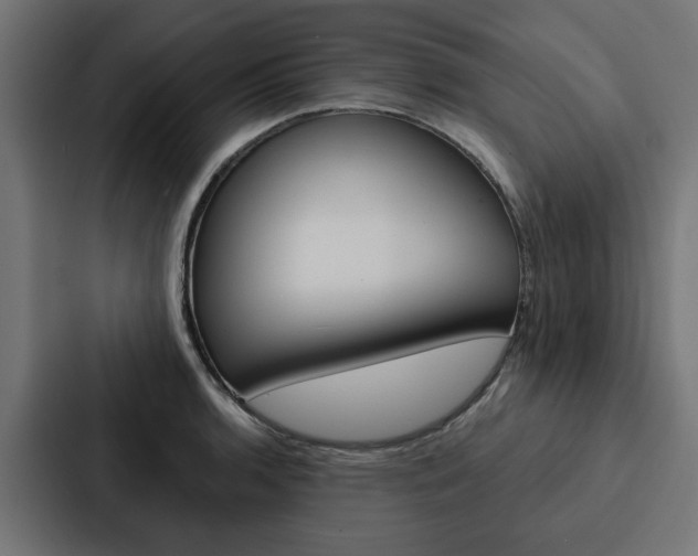 X0000088221136200705151024