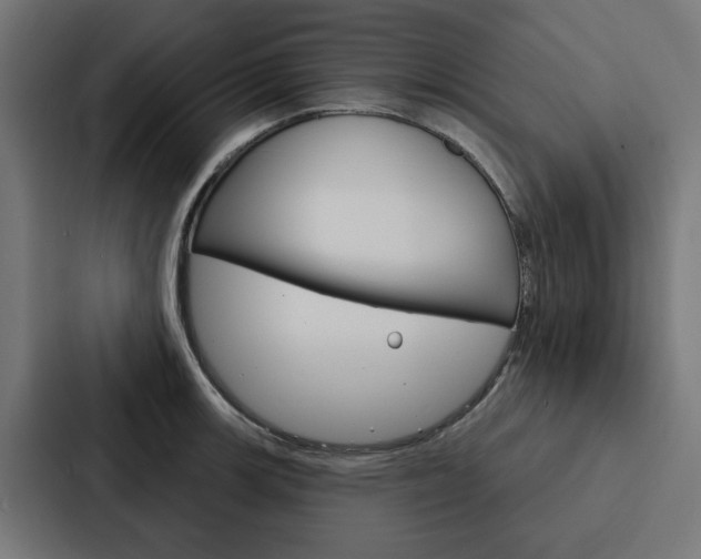 X0000088221139200705151024