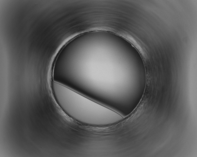 X0000088221140200705151024