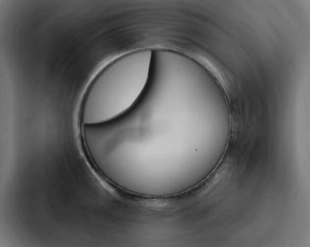 X0000088221141200705151024