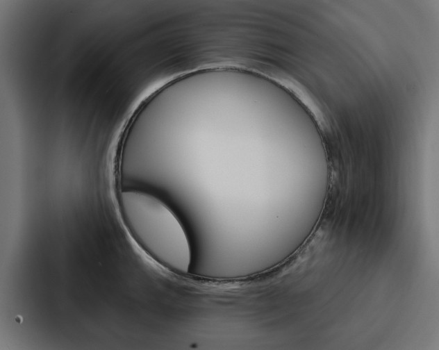 X0000088221143200705151024