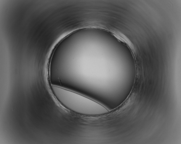 X0000088221144200705151024