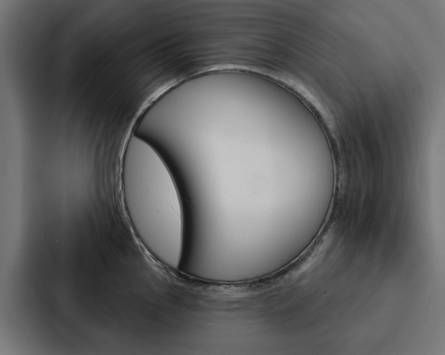X0000088221145200705151024