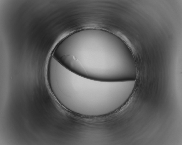 X0000088221146200705151024