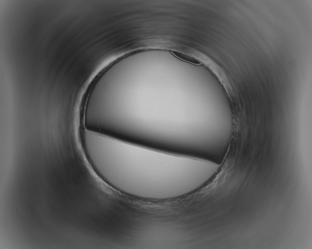 X0000088221147200705151024